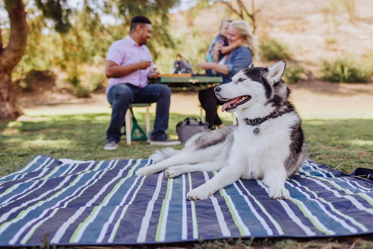 PICNIC TIME Star Wars Mandalorian Grogu Vista Manta de Picnic al Ai...