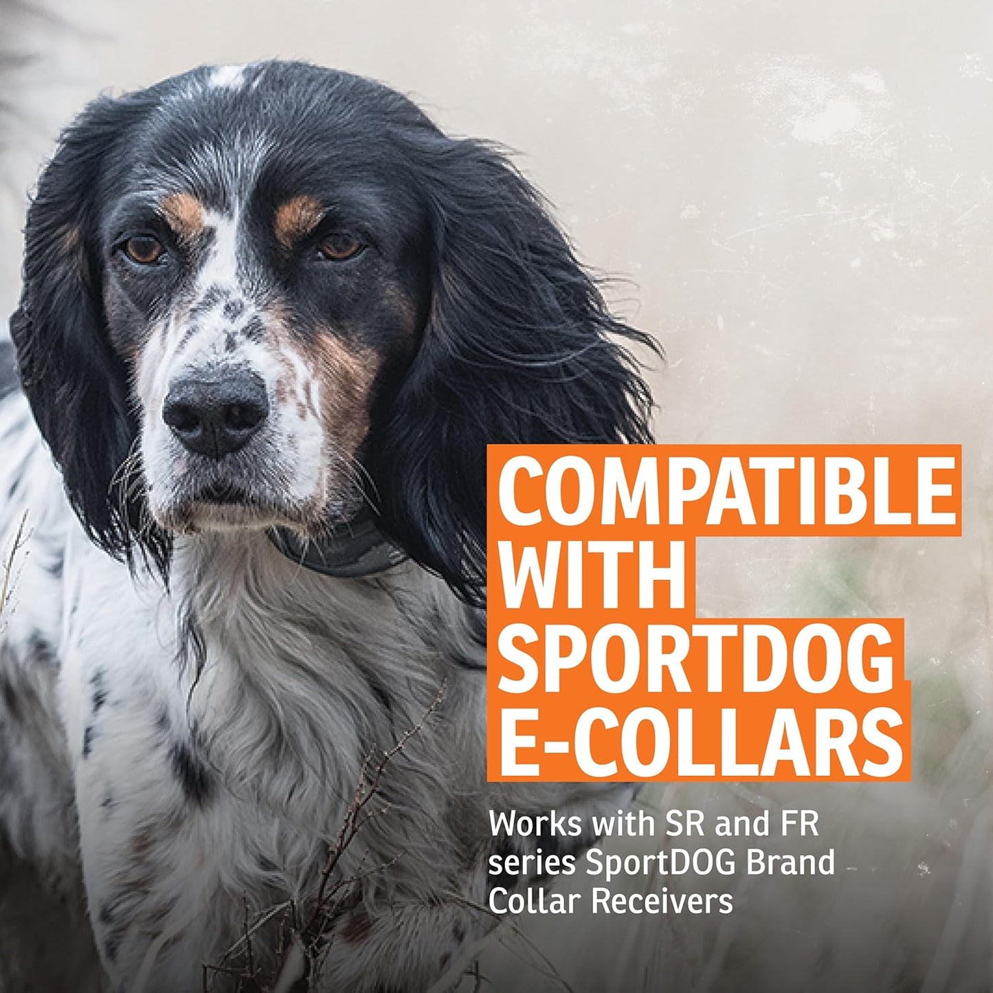 Puntos de contacto cortos de la marca SportDOG - Sondas de repuesto...
