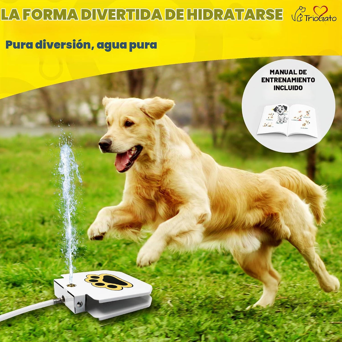 Trio Gato Fuente de agua para perros al aire libre, con patas de as...