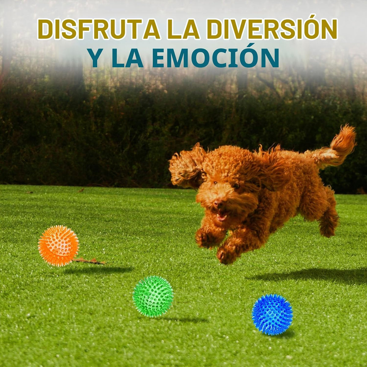 SHARLOVY Pelotas Chirriantes de 3'' para Perros Pequeños, P...