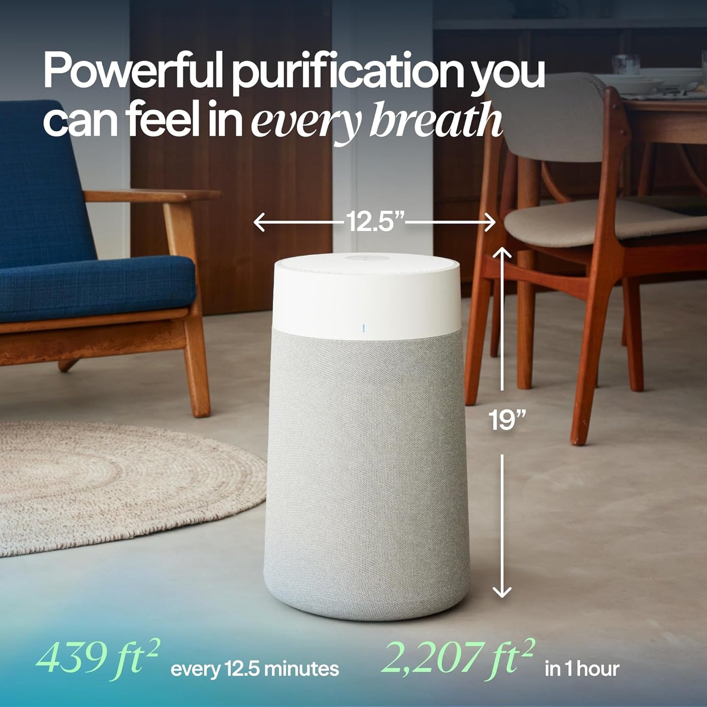 BLUEAIR Purificadores de aire para habitaciones medianas, dormitori...