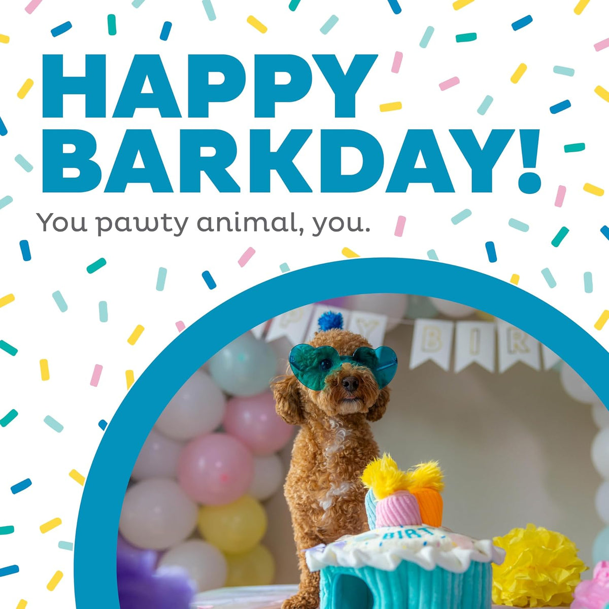 Outward Hound Hide A Birthday Cake, rompecabezas de peluche con tem...