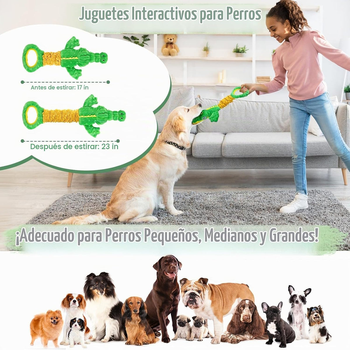 Eneston Juguetes grandes para perros, juguete de peluche chirriante...