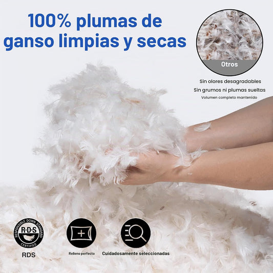 zibroges Juego de 2 almohadas de plumas tamaño queen para dormir |...