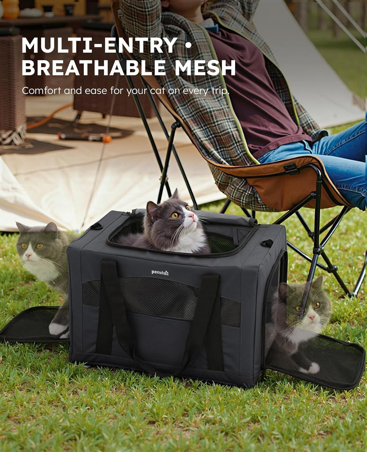 Pecute Transportador estable para gatos, transportador de mascotas...