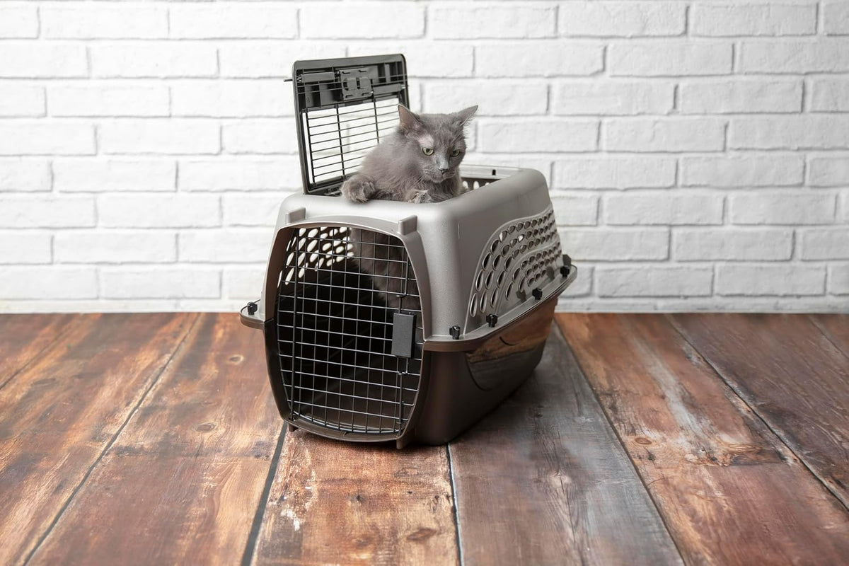 Petmate Jaulas para Perros Pequeños y Transportadores para Gatos, P...