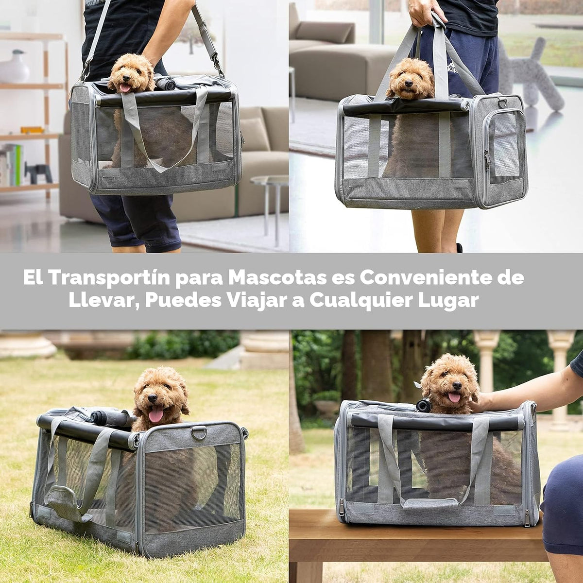 GAPZER Transportín para mascotas para gatos grandes, transportín pa...