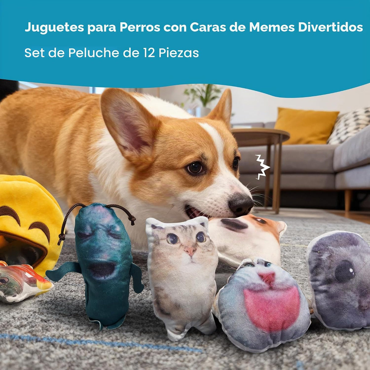 Nocciola - Juguetes de peluche con sonido para perros \u2013 12 uni...