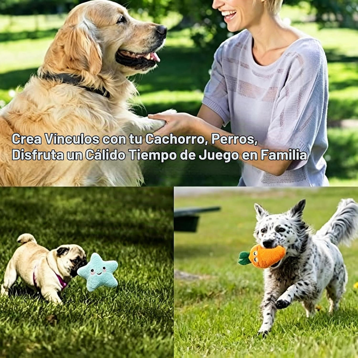 Juguetes chirriantes para perros pequeños y medianos, paquete de 9...