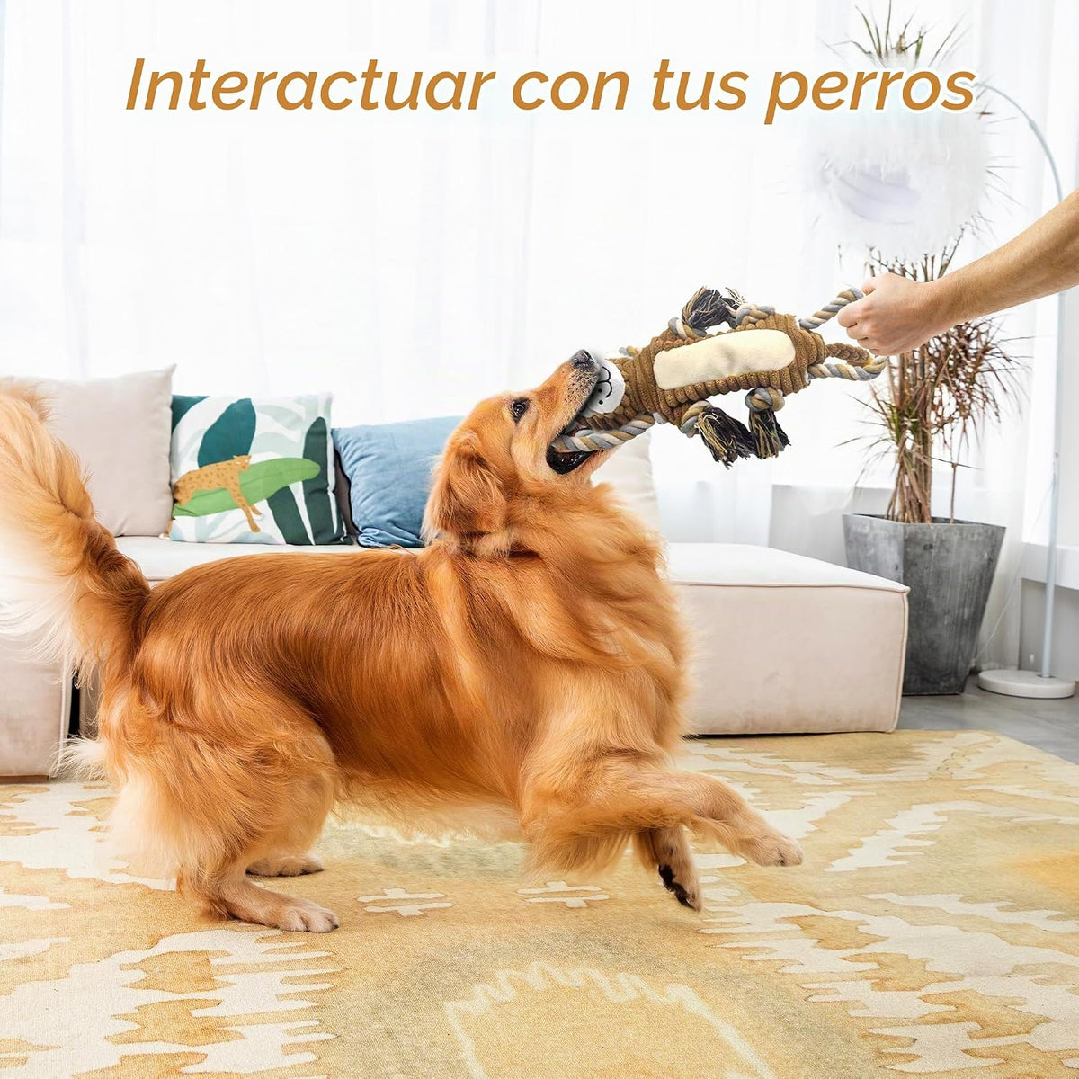 BUYPOW Juguetes Chirriantes para Perros, Juguetes Interactivos de T...