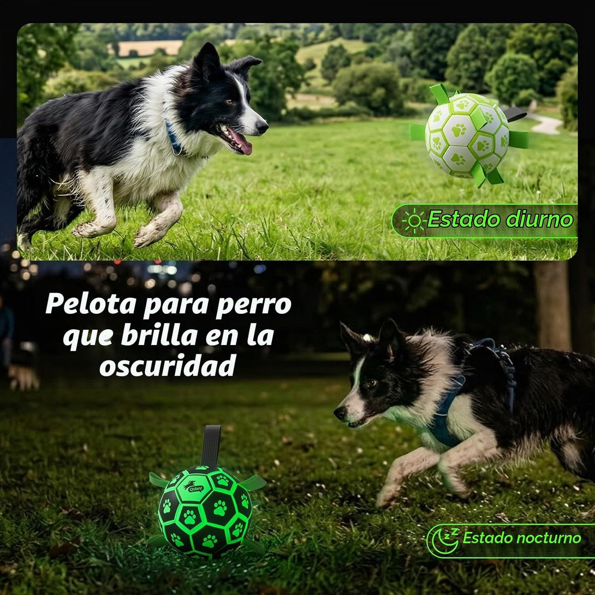 QDAN Pelota de fútbol que brilla en la oscuridad para perros con co...