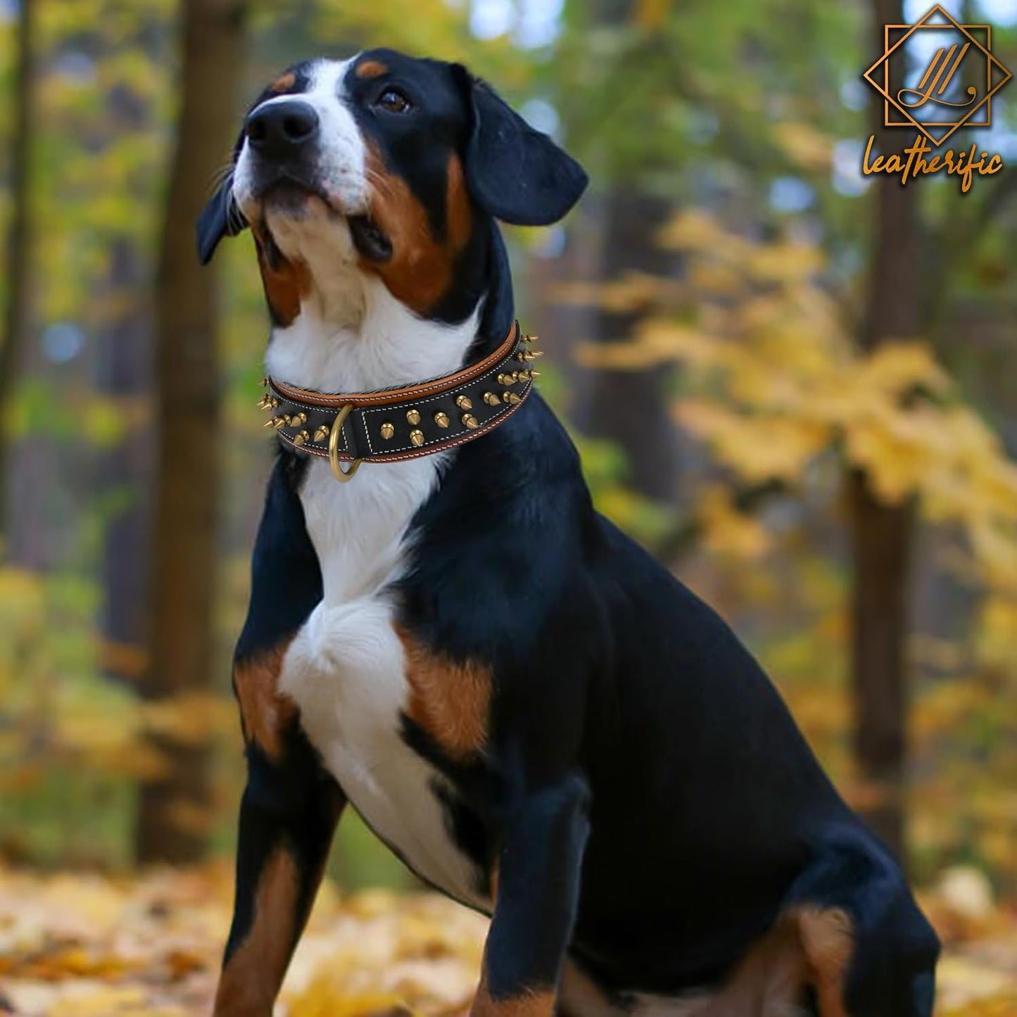 Leatherific - Collar de piel auténtica para perro, cuero bridle de...