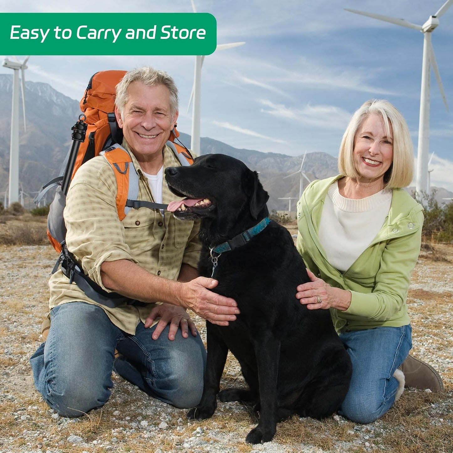 AmaCielo Poste de Flirteo para Perros, Juguetes Interactivos de Tir...