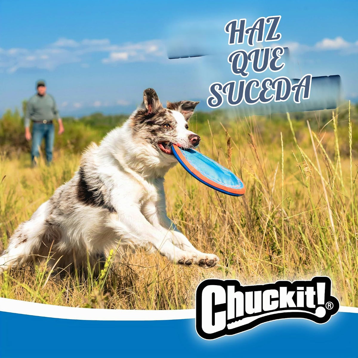Chuckit! Paraflight - Disco volador para perros - Juguete flotante...