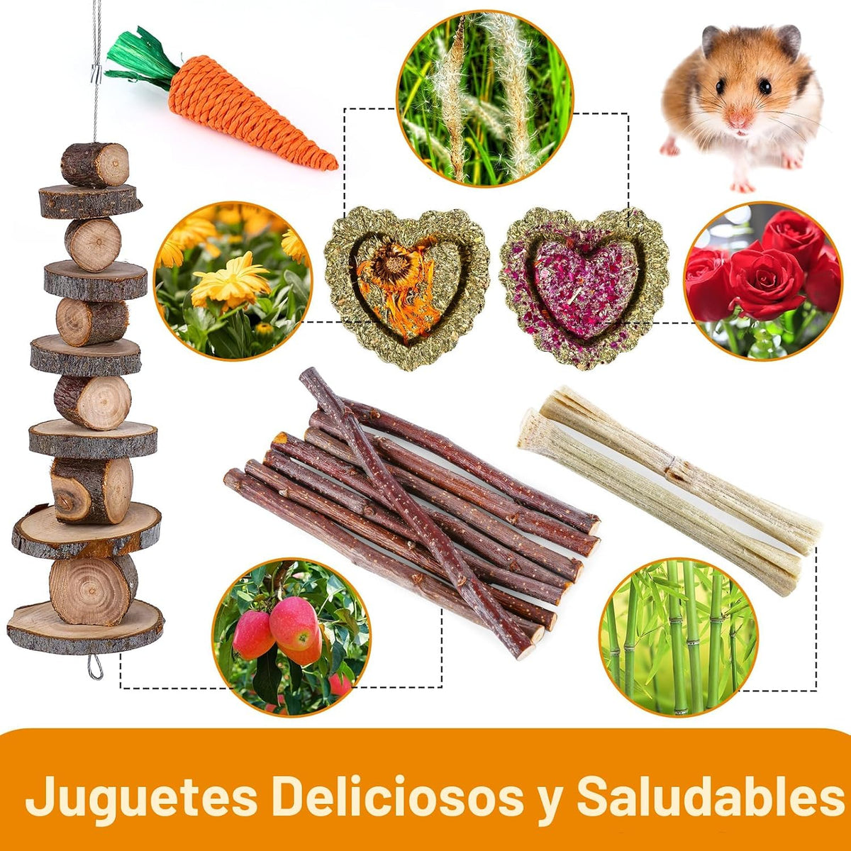 Juego de juguetes de hámster, conejillo de indias, conejito de indi...
