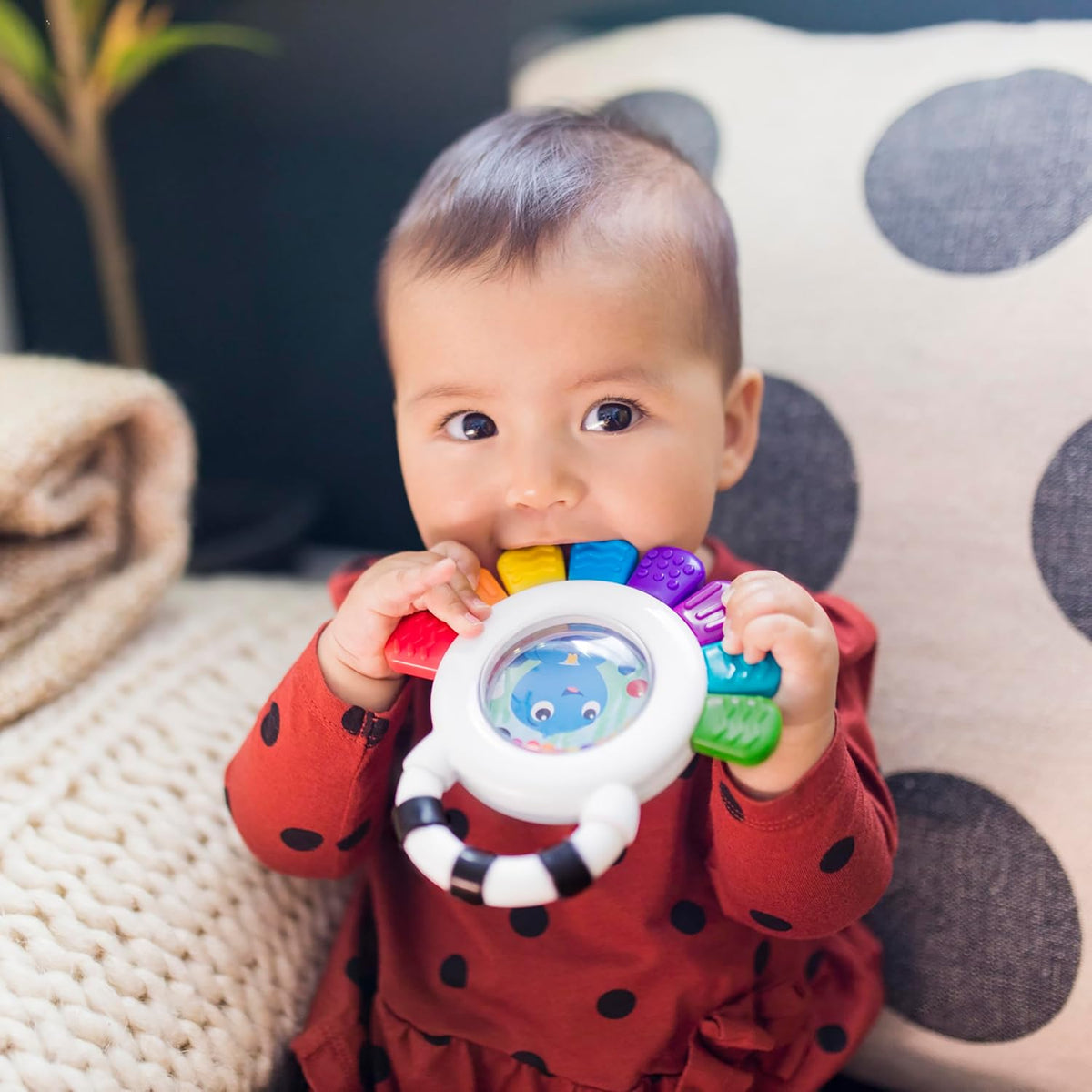 Baby Einstein Outstanding Opus The Octopus - Sonajero sensorial y m...