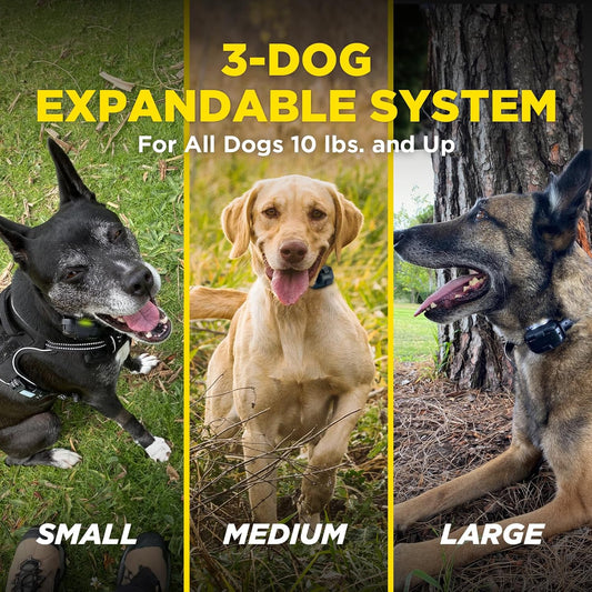 Dogtra 280X Collar E para 2 Perros con Control Remoto [Nueva Edició...