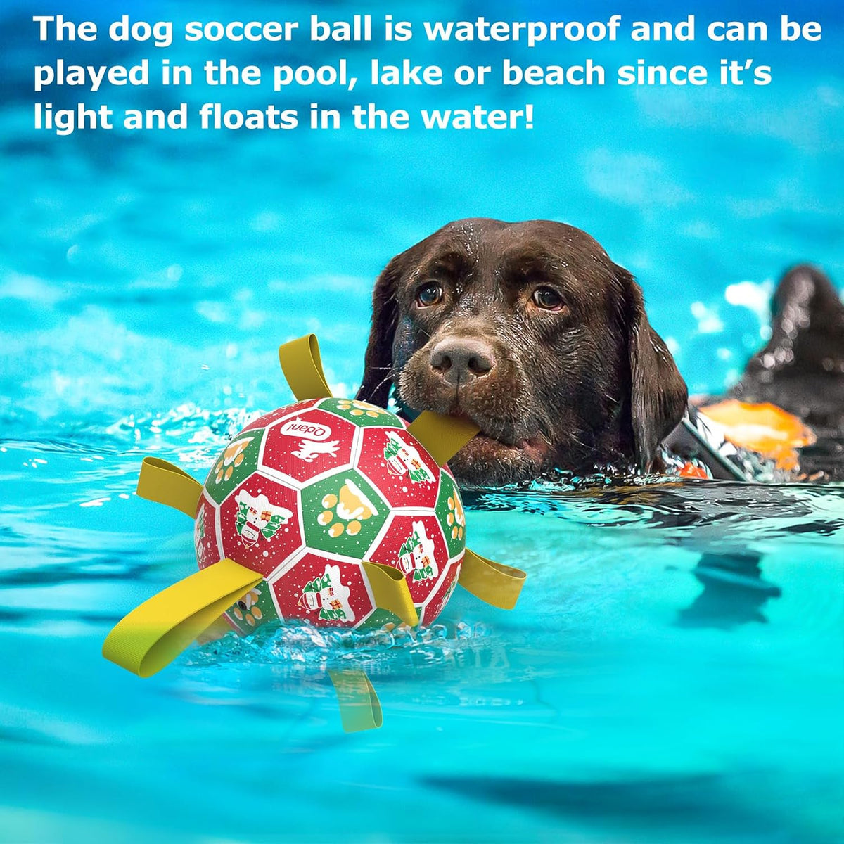 QDAN Juguetes navideños para perros: pelota de fútbol para perros c...