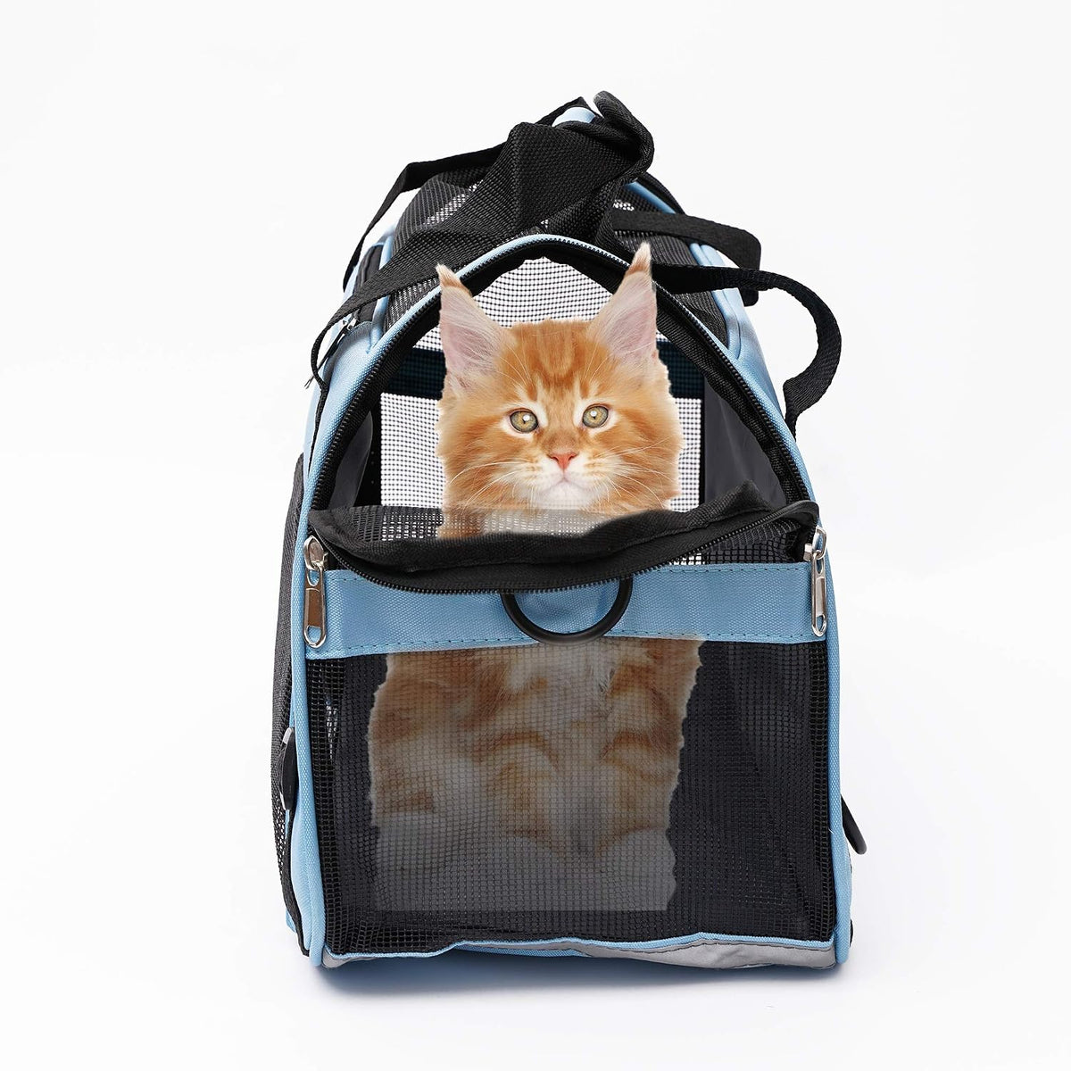 MuchL Transportador de mascotas de lados suaves para gatos, transpo...