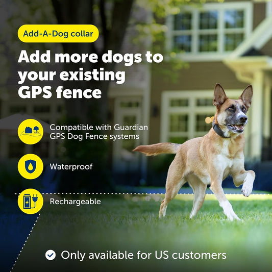 Collar PetSafe Guardian GPS para perros - Collar adicional para agr...