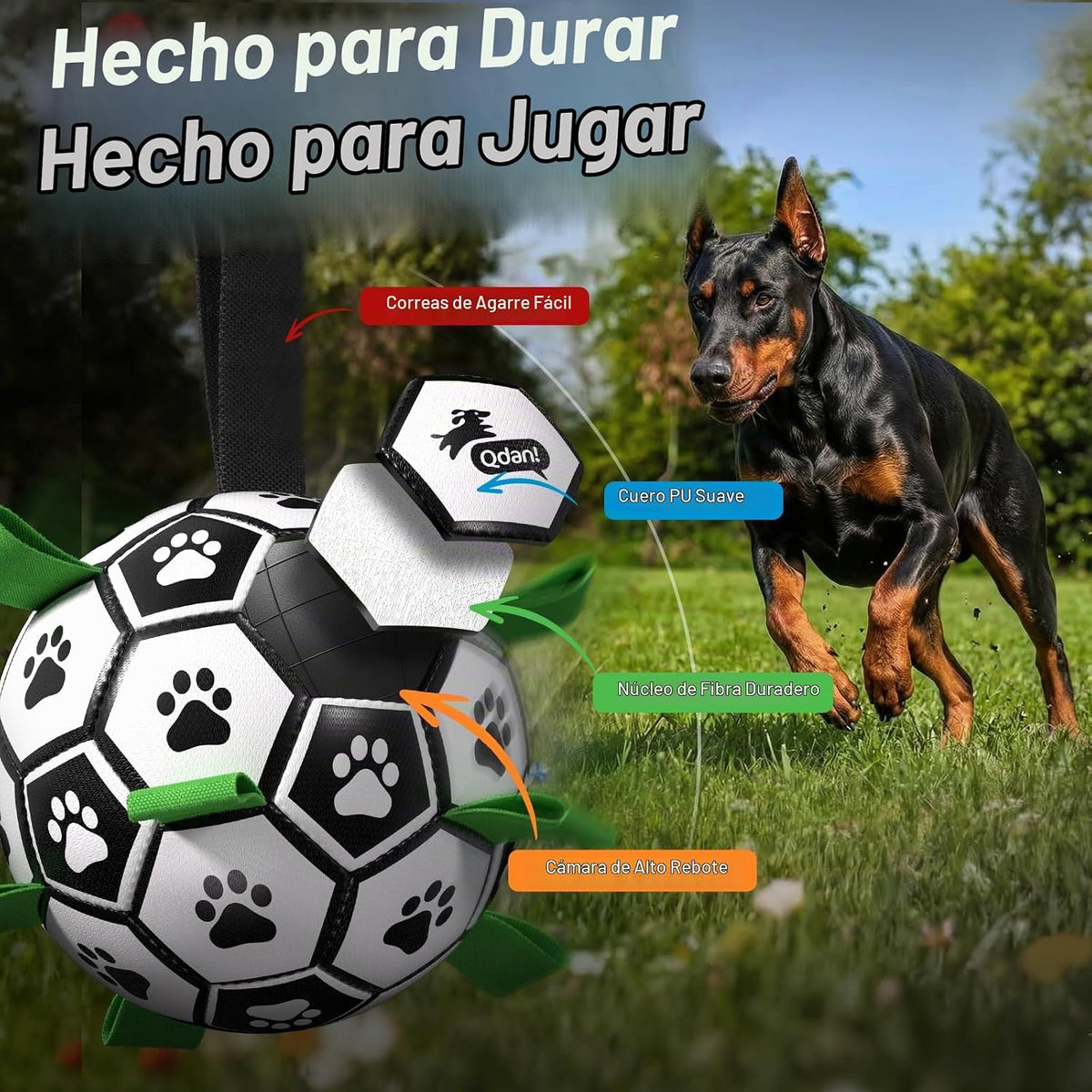 QDAN Balón de fútbol para perros Gaint de 10 pulgadas con correas,...