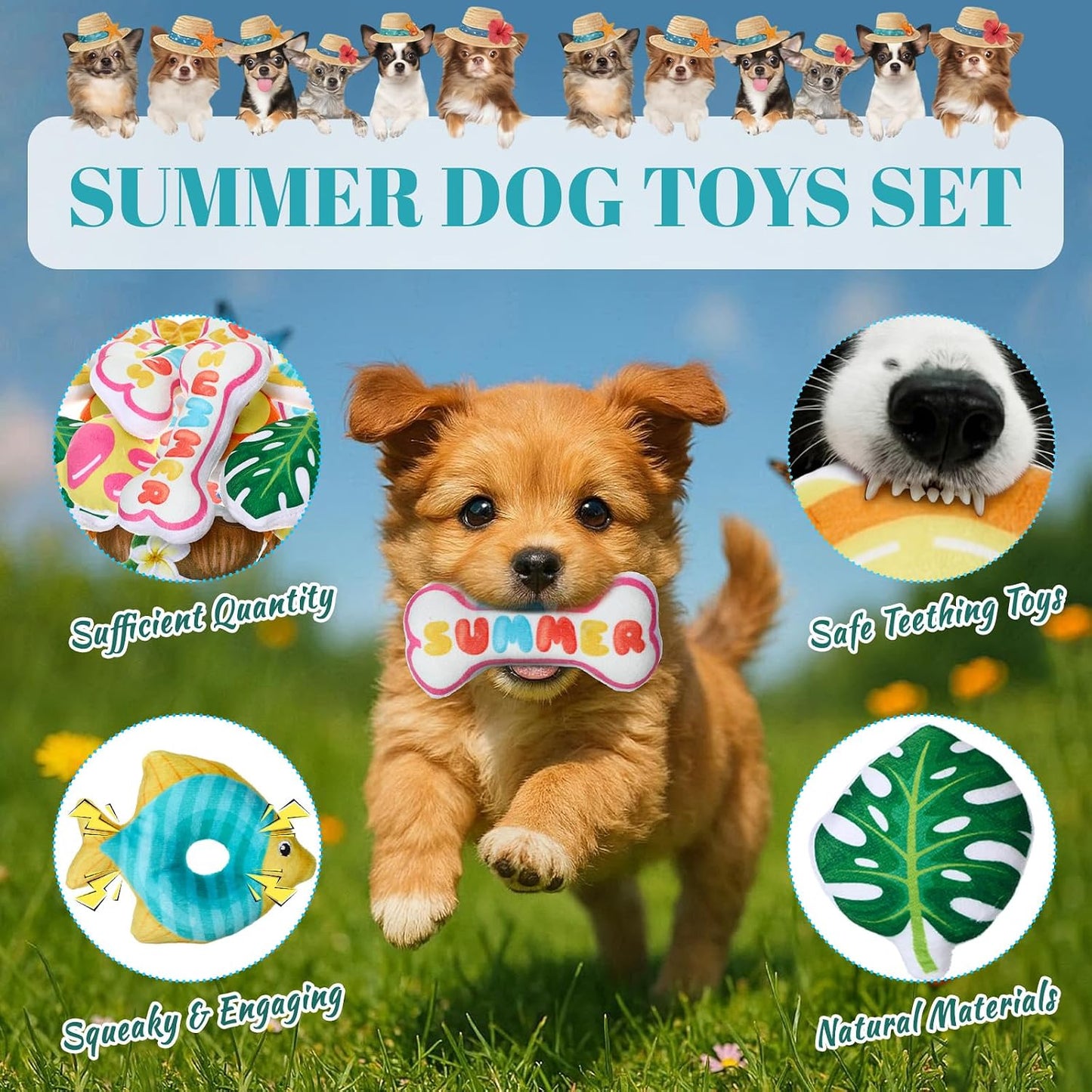 Soulchen Juego de 80 juguetes de verano para perros, juguetes chirr...