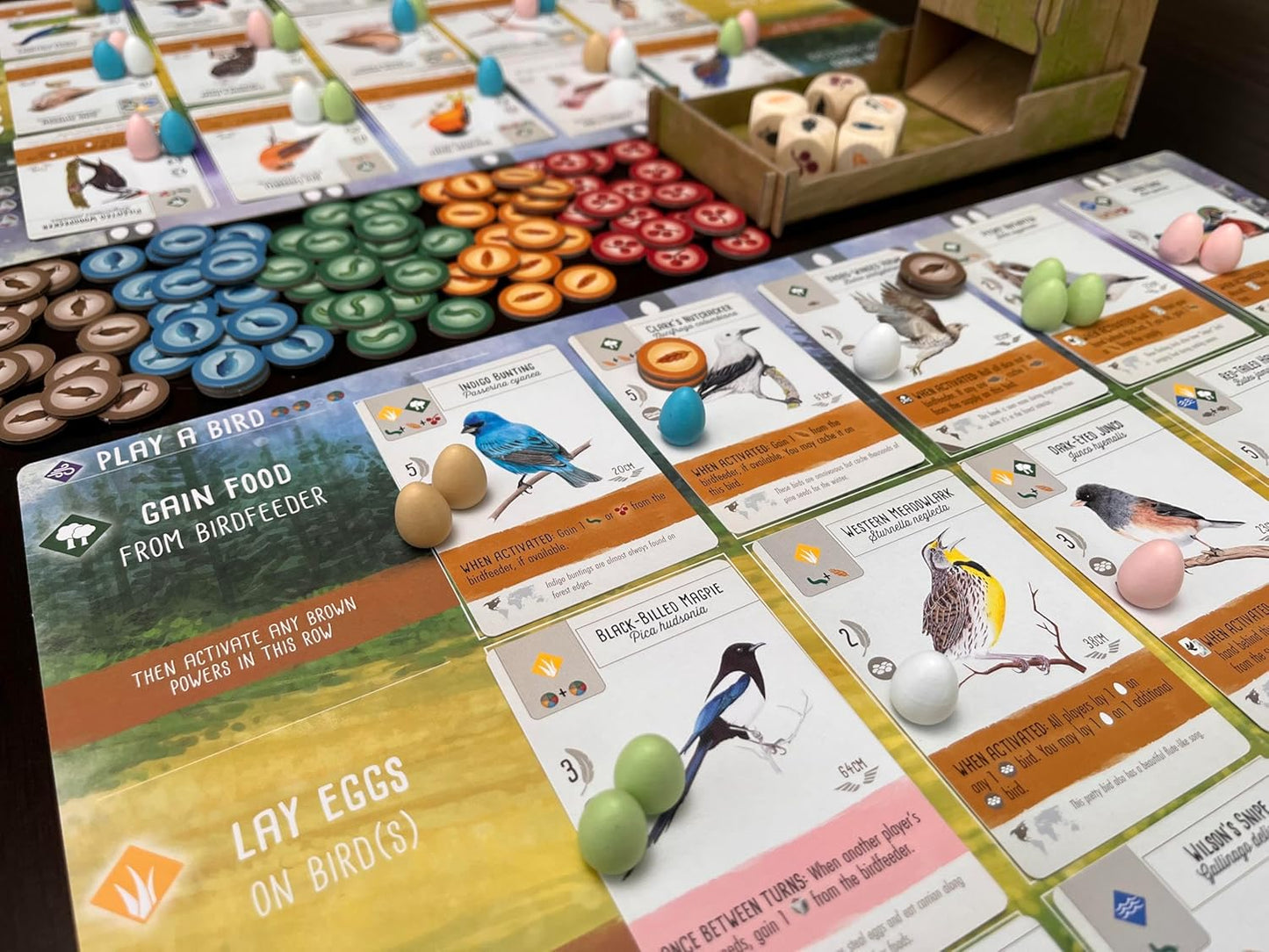 Stonemaier Games: Wingspan (Juego Base) de Elizabeth Hargrave | Un...