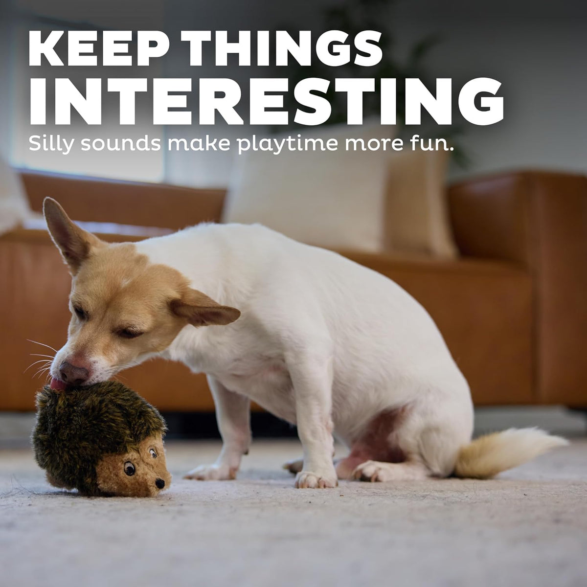 Outward Hound - Juguete de peluche Hedgehogz para perro, tamaño S |...