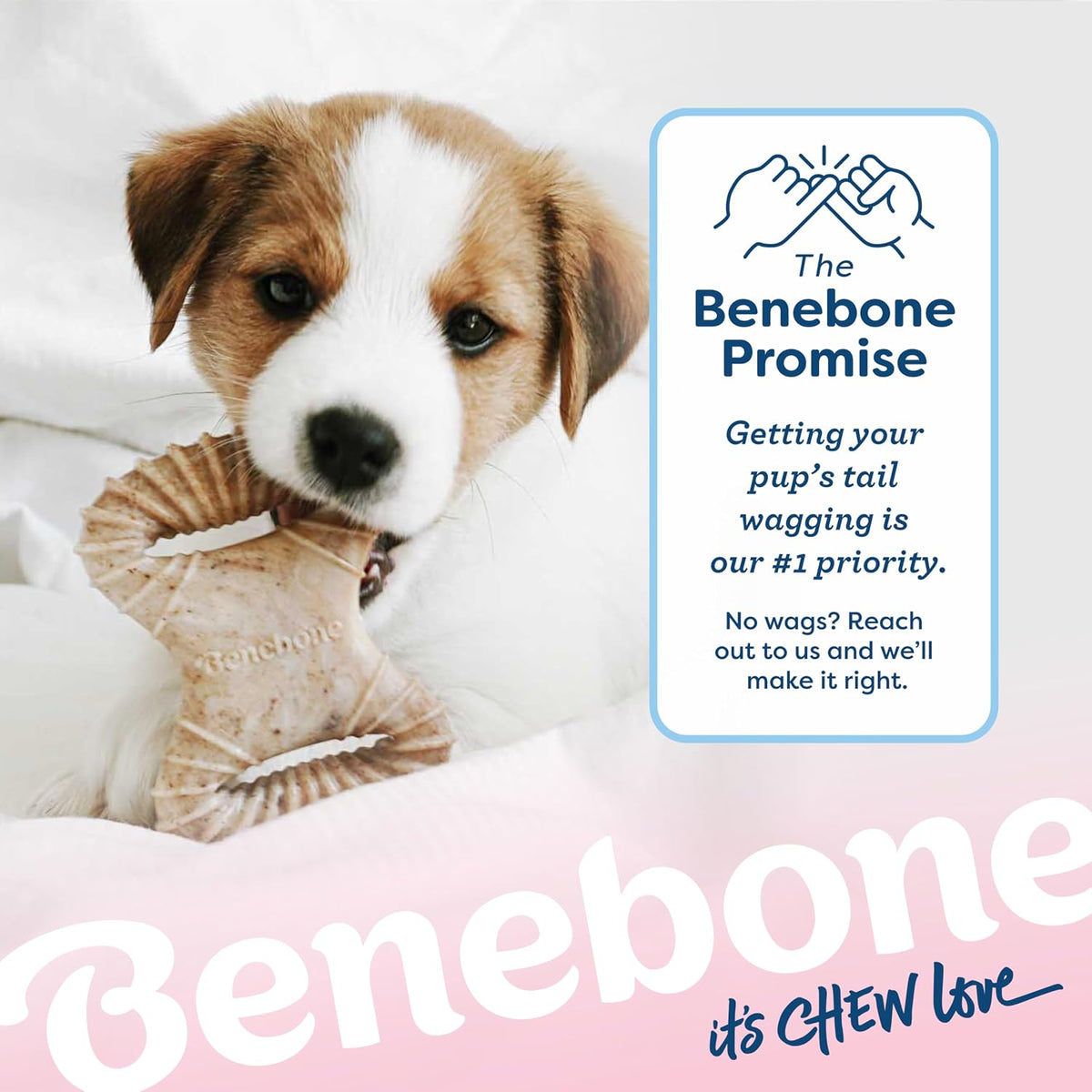 Benebone - Paquete de 2 juguetes para morder dentales\/hueso en for...