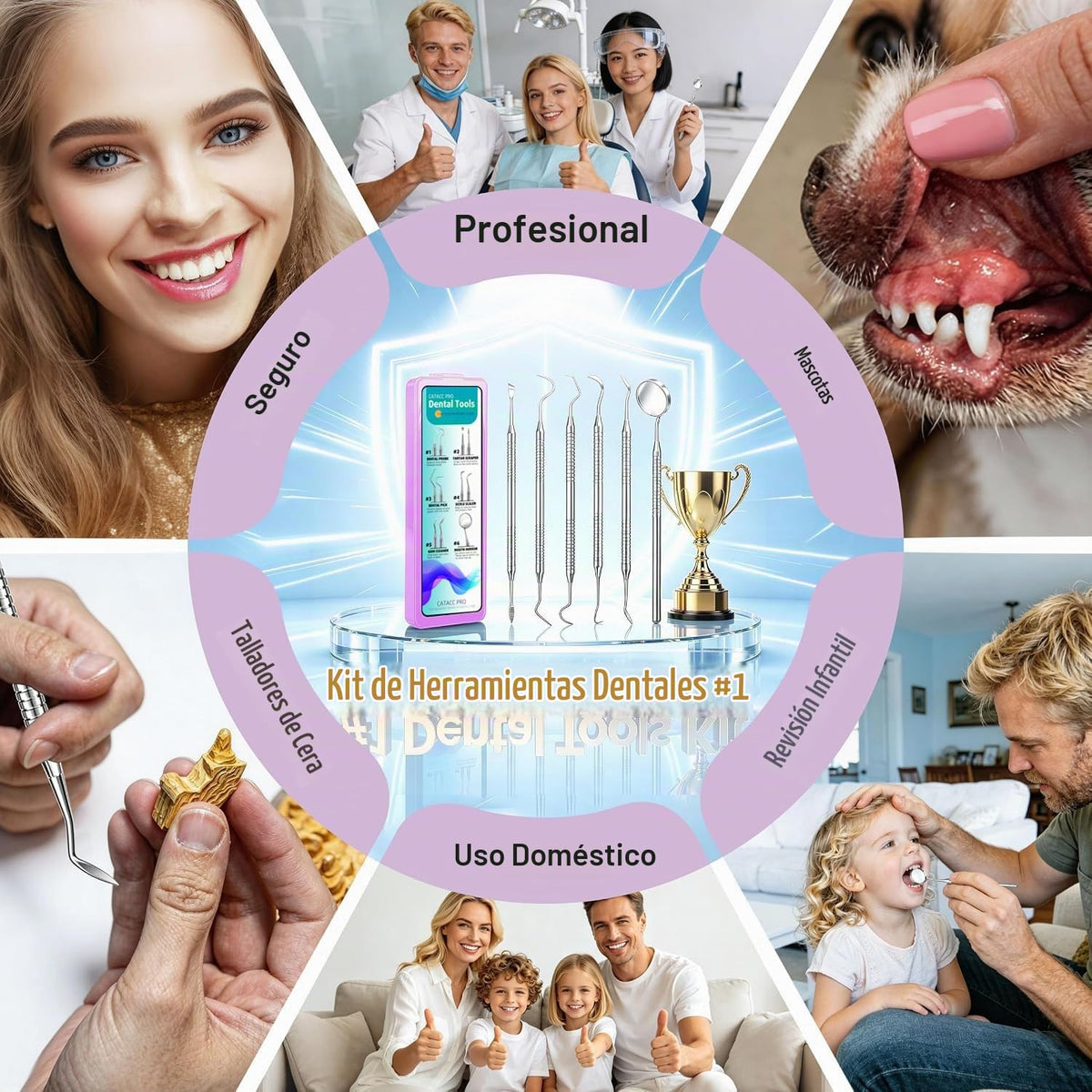 CATACC PRO Herramientas dentales, palillo dental para limpieza de d...