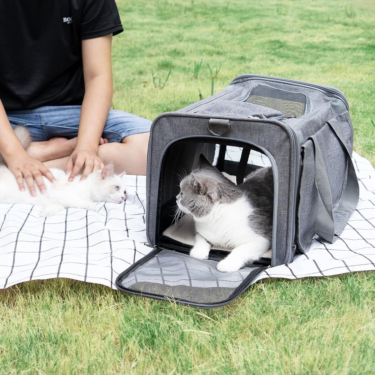 GAPZER Transportín para mascotas para gatos grandes, transportín pa...
