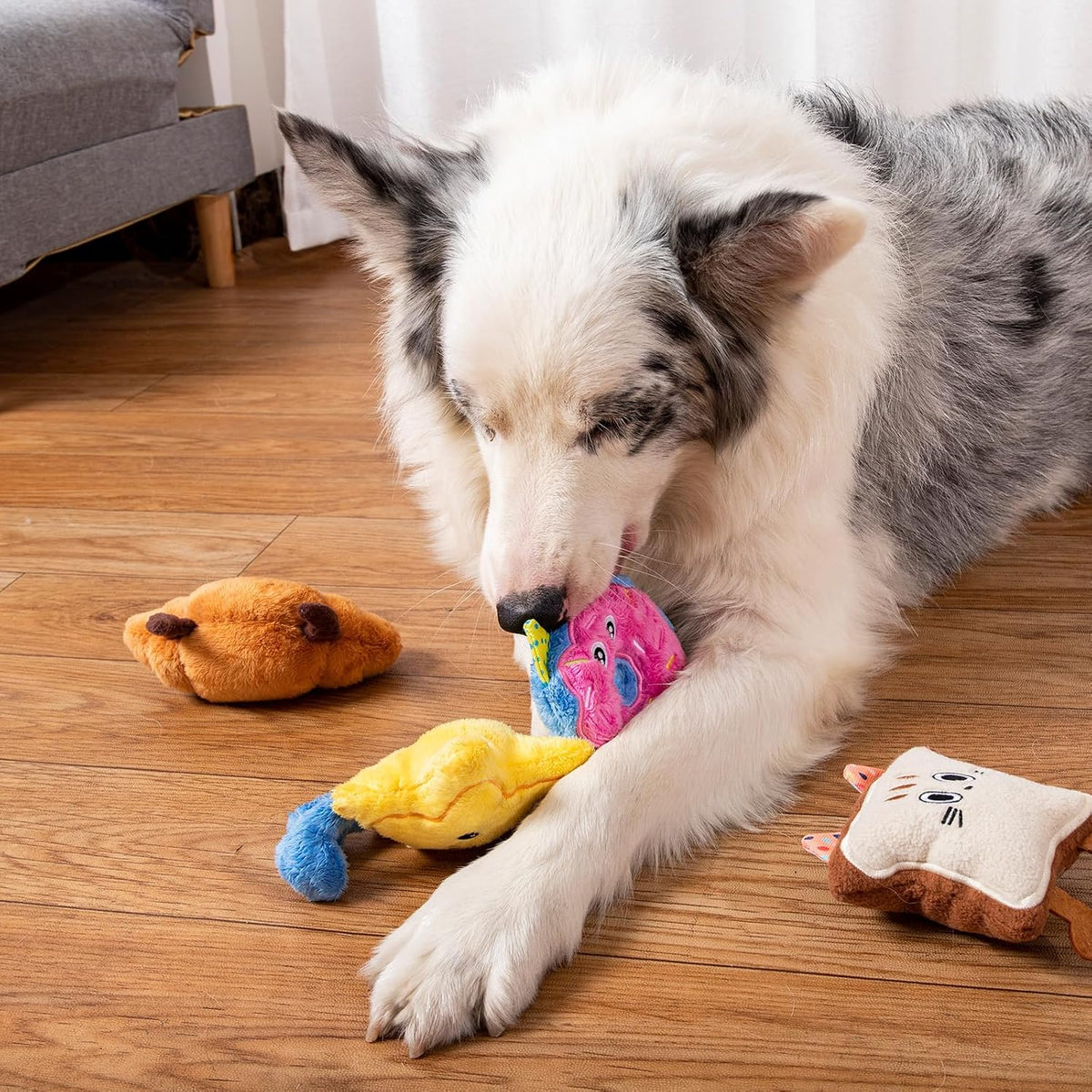 DODODOLA 4 piezas de juguetes para perros con relleno para perros p...