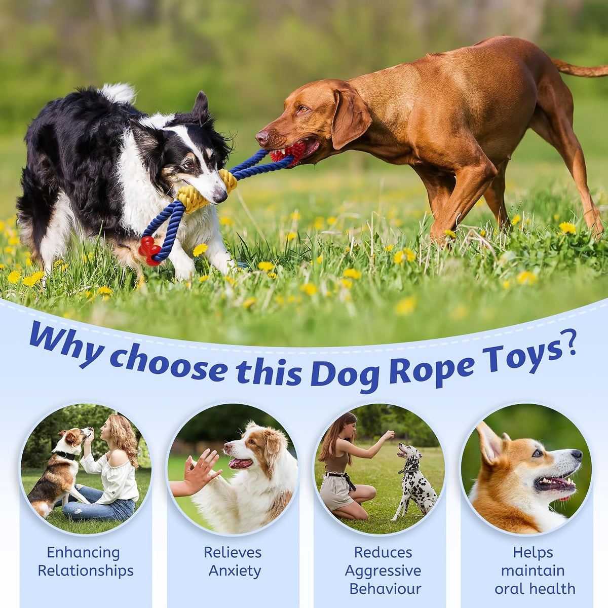 Aitmexcn Juguetes interactivos de cuerda para perros, juegos de tir...