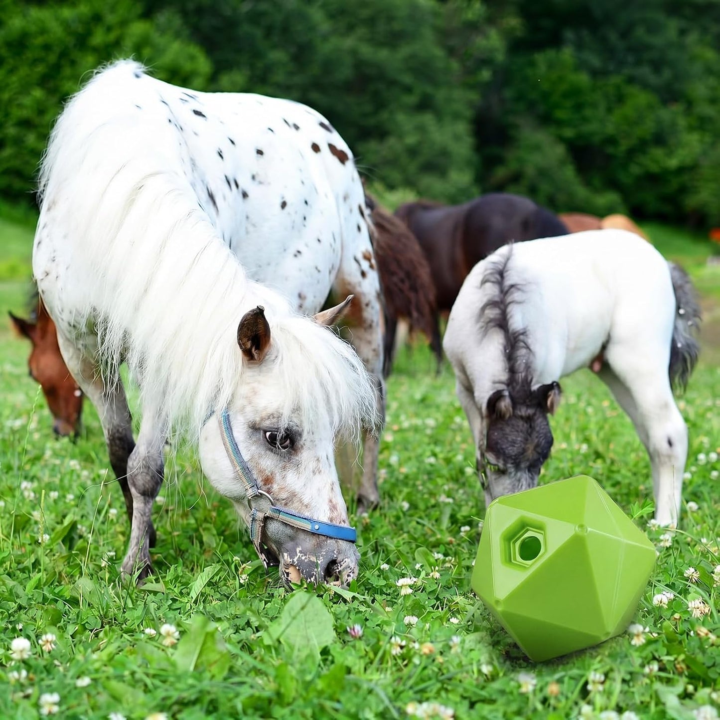 Seenelling Paquete de 1 bola de golosinas para caballos, juguete al...