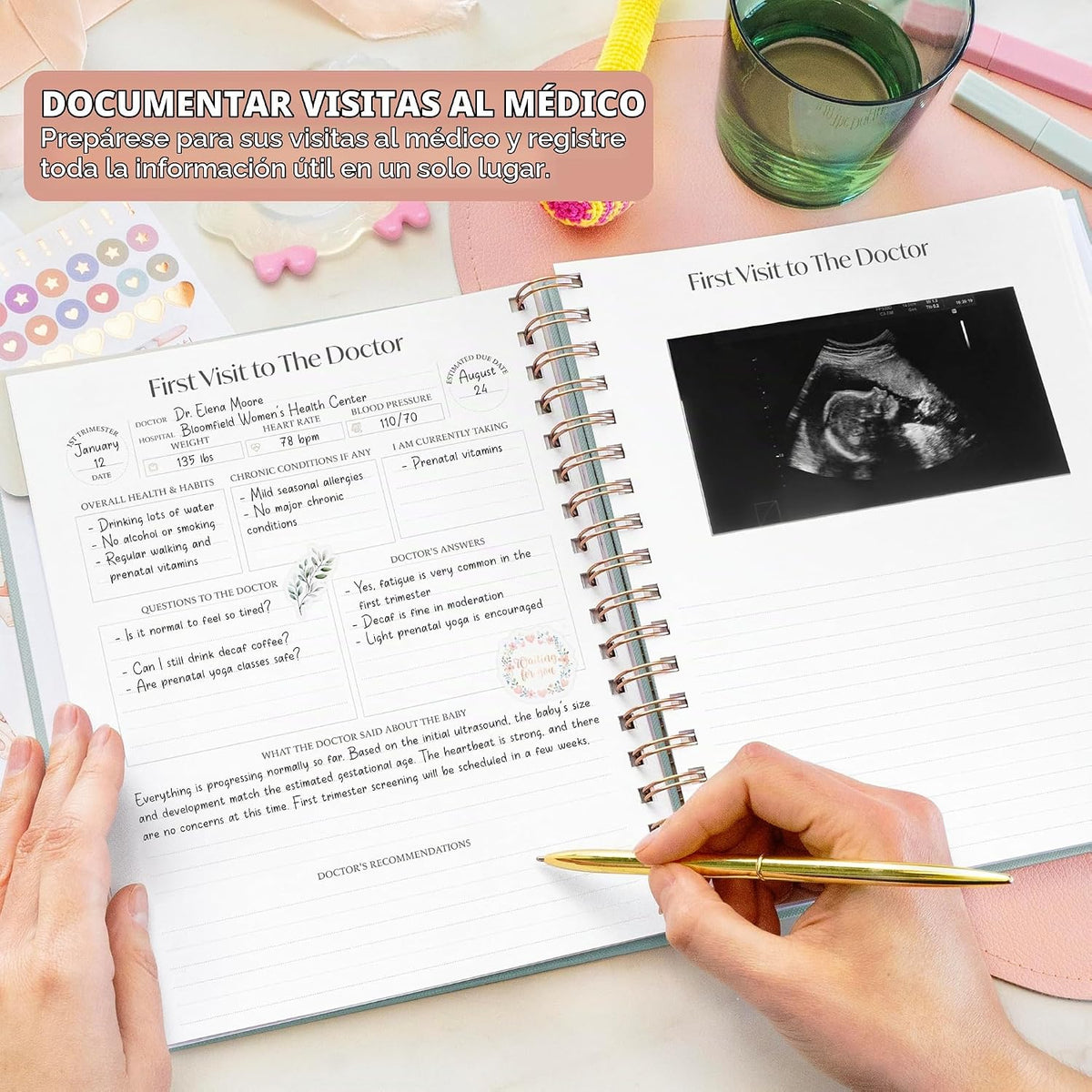Skyline Diario Planificador de Embarazo \u2013 Libro de registro de...