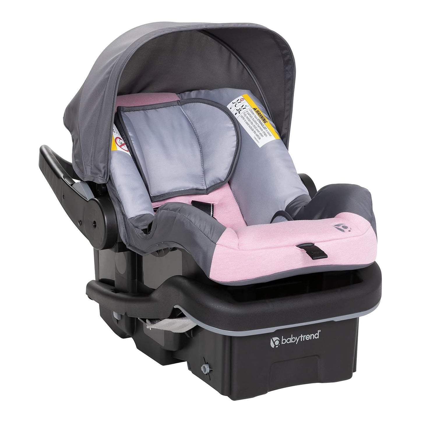 Baby Trend Sistema de viaje Passport Cargo de bambú rosa con moisés...