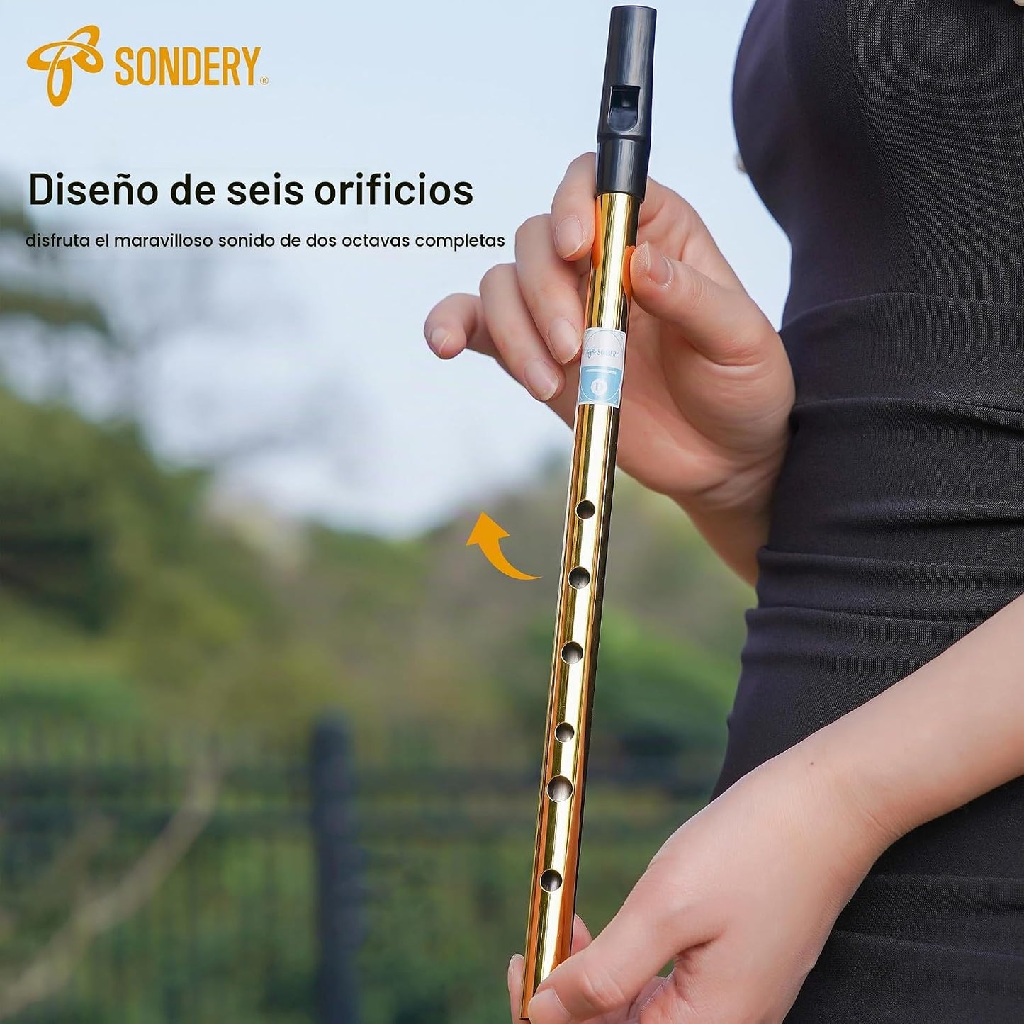 Sondery Silbato Irlandés de Lata Clave de Re Hecho de Latón Tipo Vi...