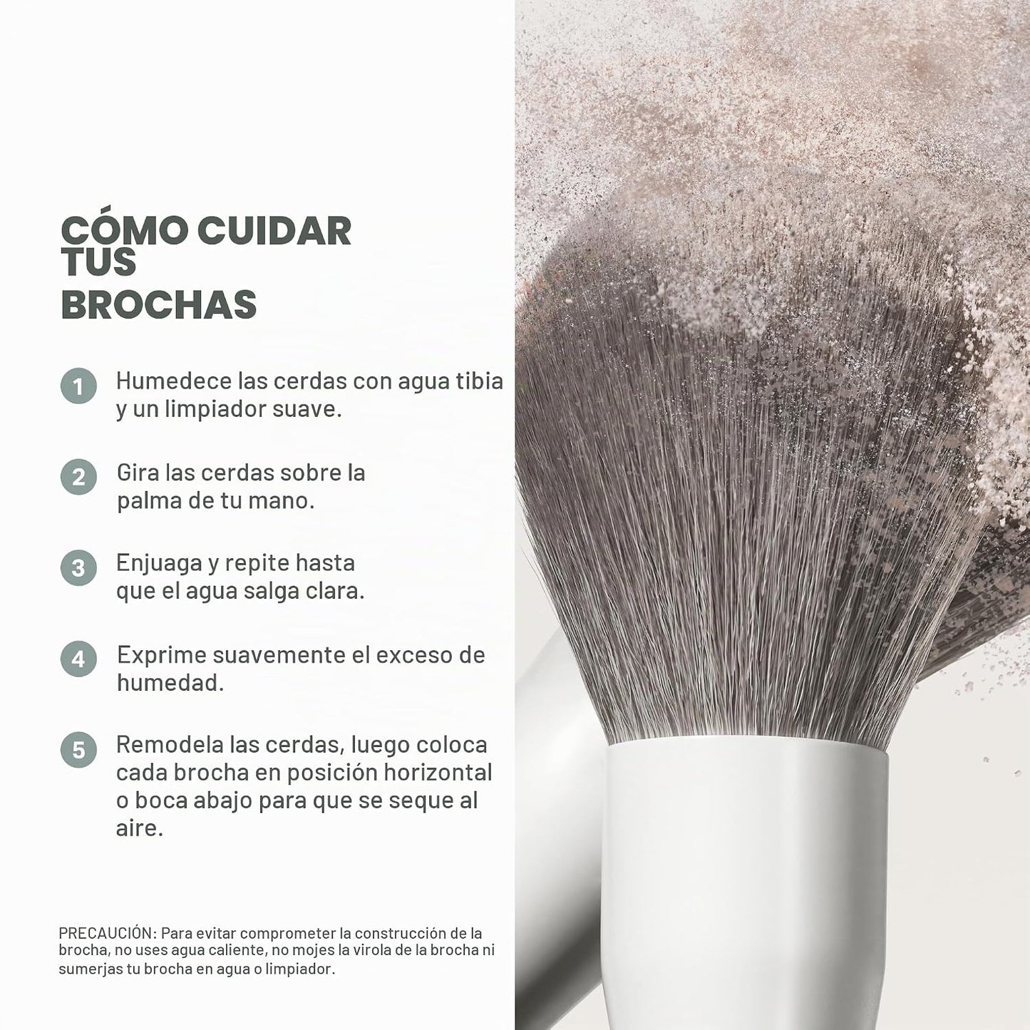 Morphe Portrait Mode - Juego de 5 brochas de maquillaje profesional...