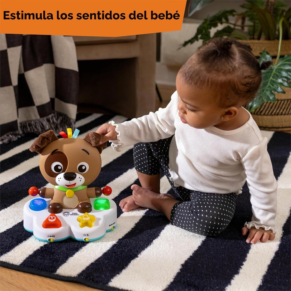 Baby Einstein Drum &amp; Learn Dean - Juguete de aprendizaje musica...