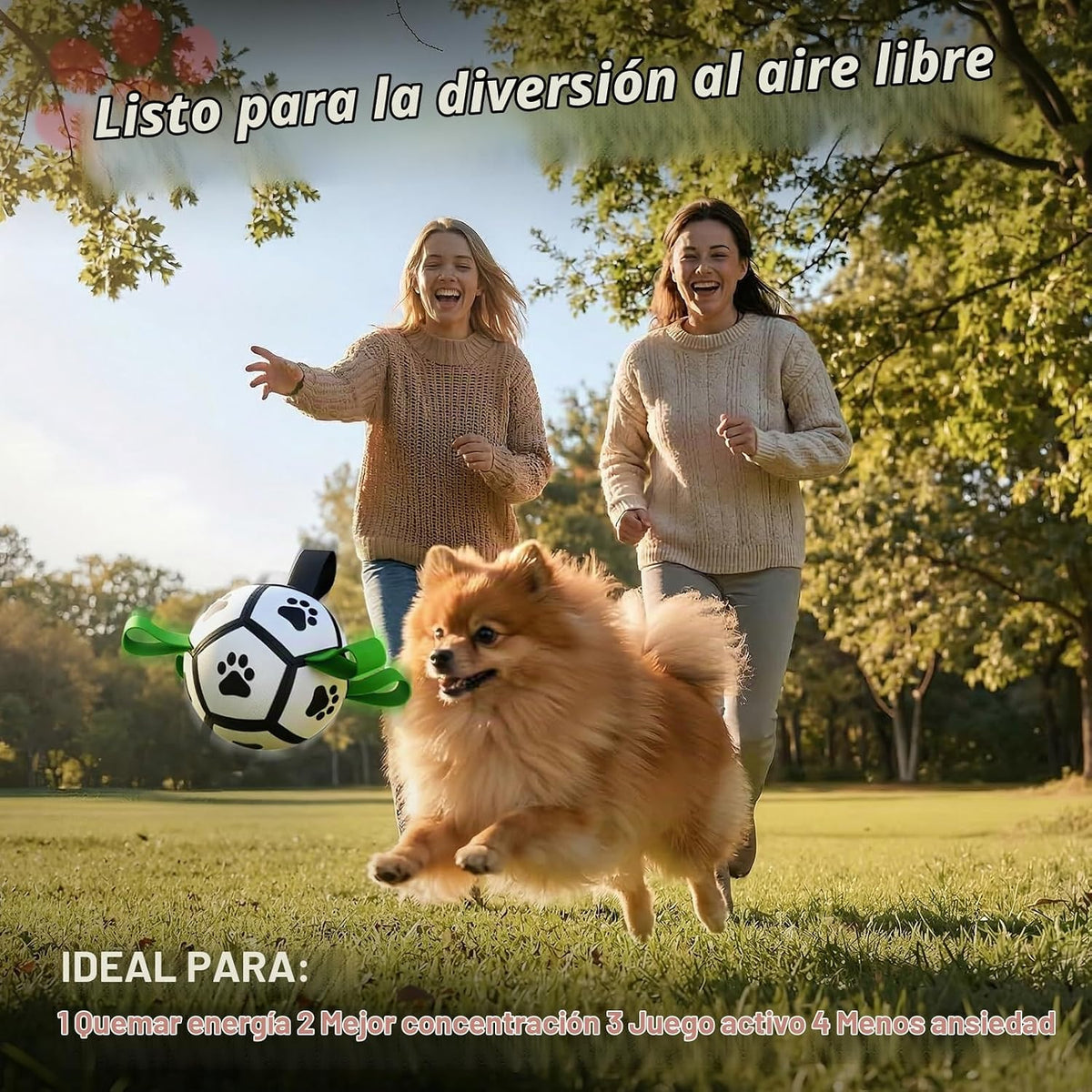 QDAN Juguetes para perros pequeños, pelota de fútbol al aire libre...