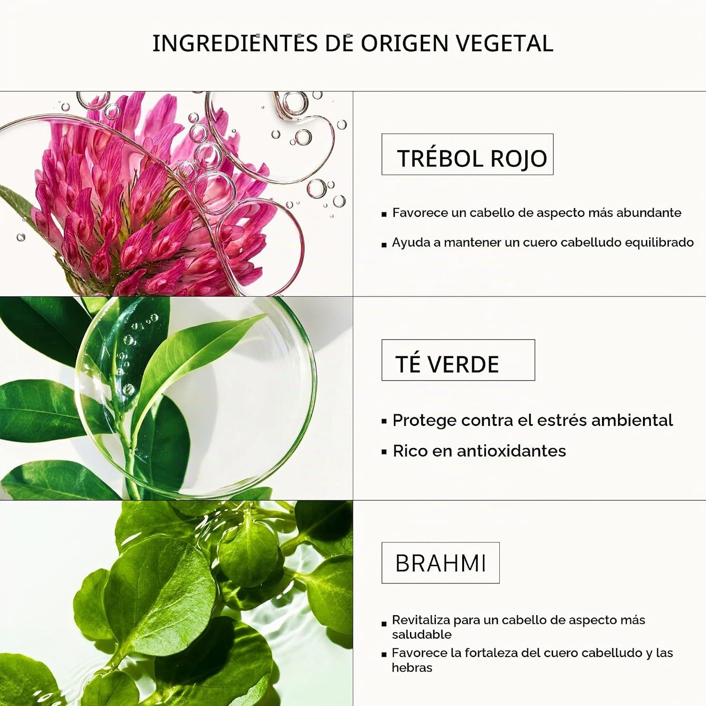 ACTIIV Recover Tratamiento de Champú Densificante para Mujeres | Ap...