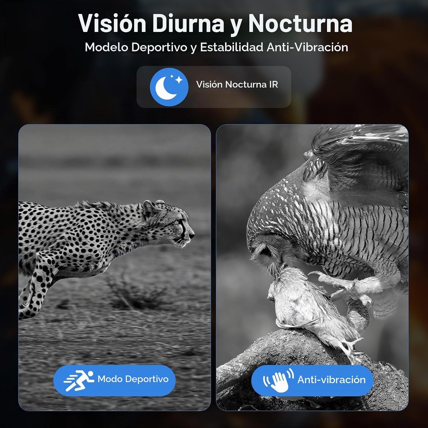 WARMTUYO Gafas de visión nocturna, binoculares 4K con cámara, panta...