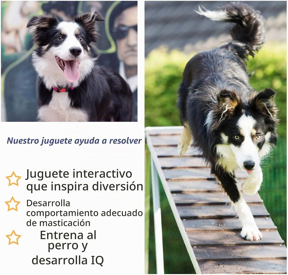 Fida Juguetes de cuerda para perros, paquete de 4 juguetes de algod...