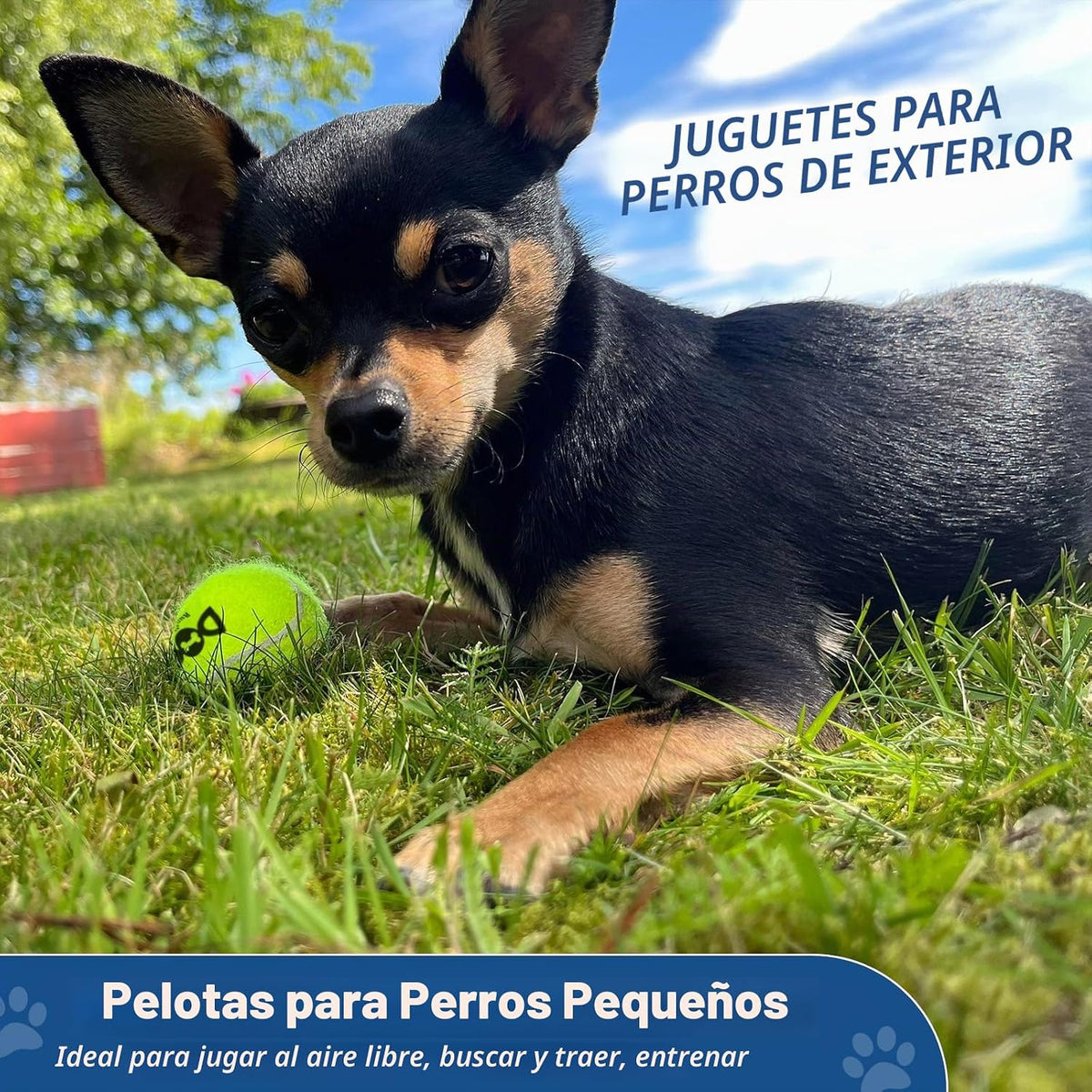 Pelotas de tenis para perros INSUM, paquete de 12 pelotas coloridas...