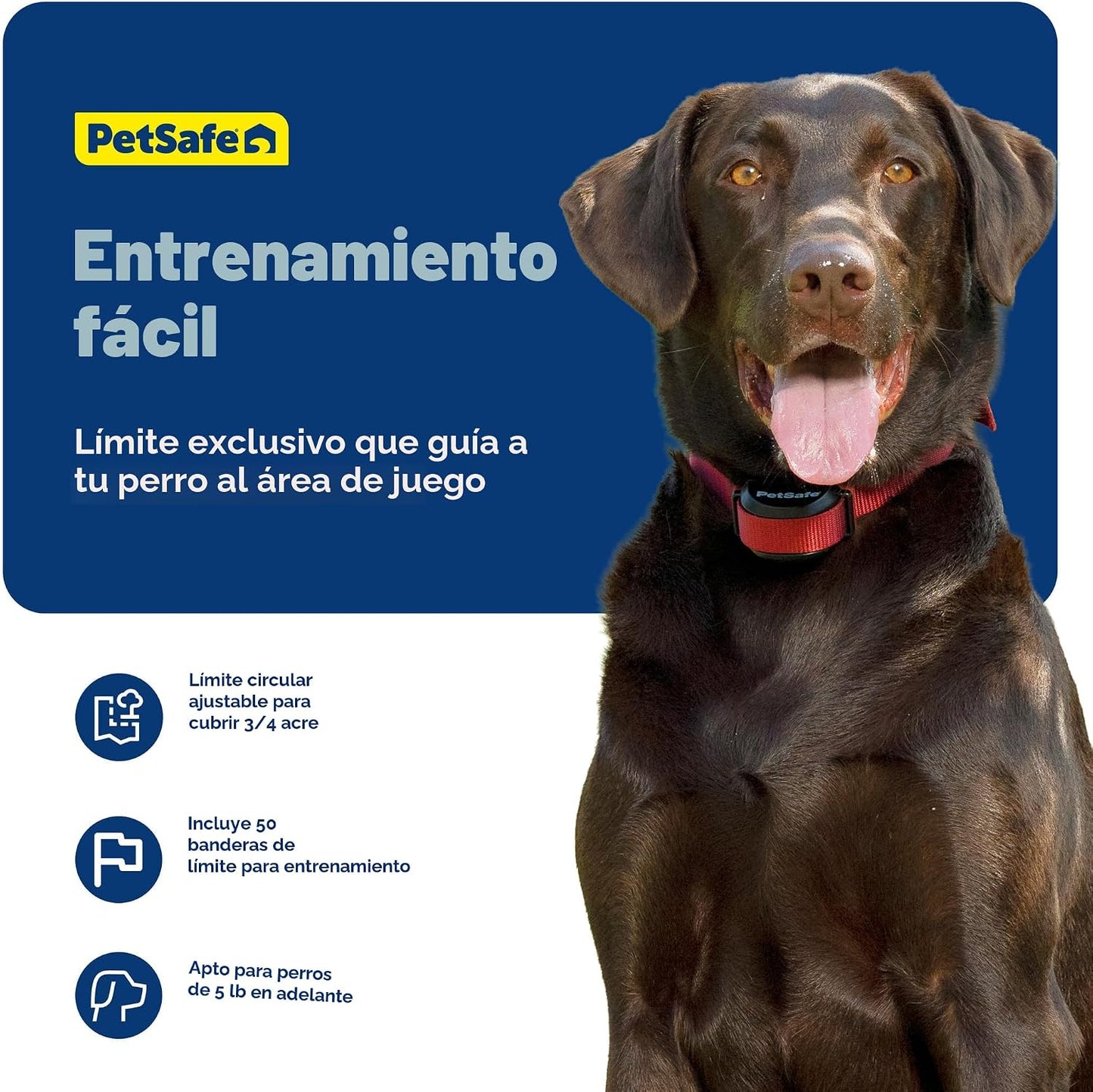 PetSafe Stay &amp; Play - Valla inalámbrica para 2 perros obstinado...