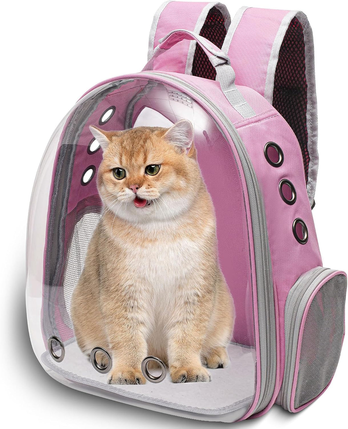 Vivicreate - Mochila grande para gatos transportadora de mascotas p...