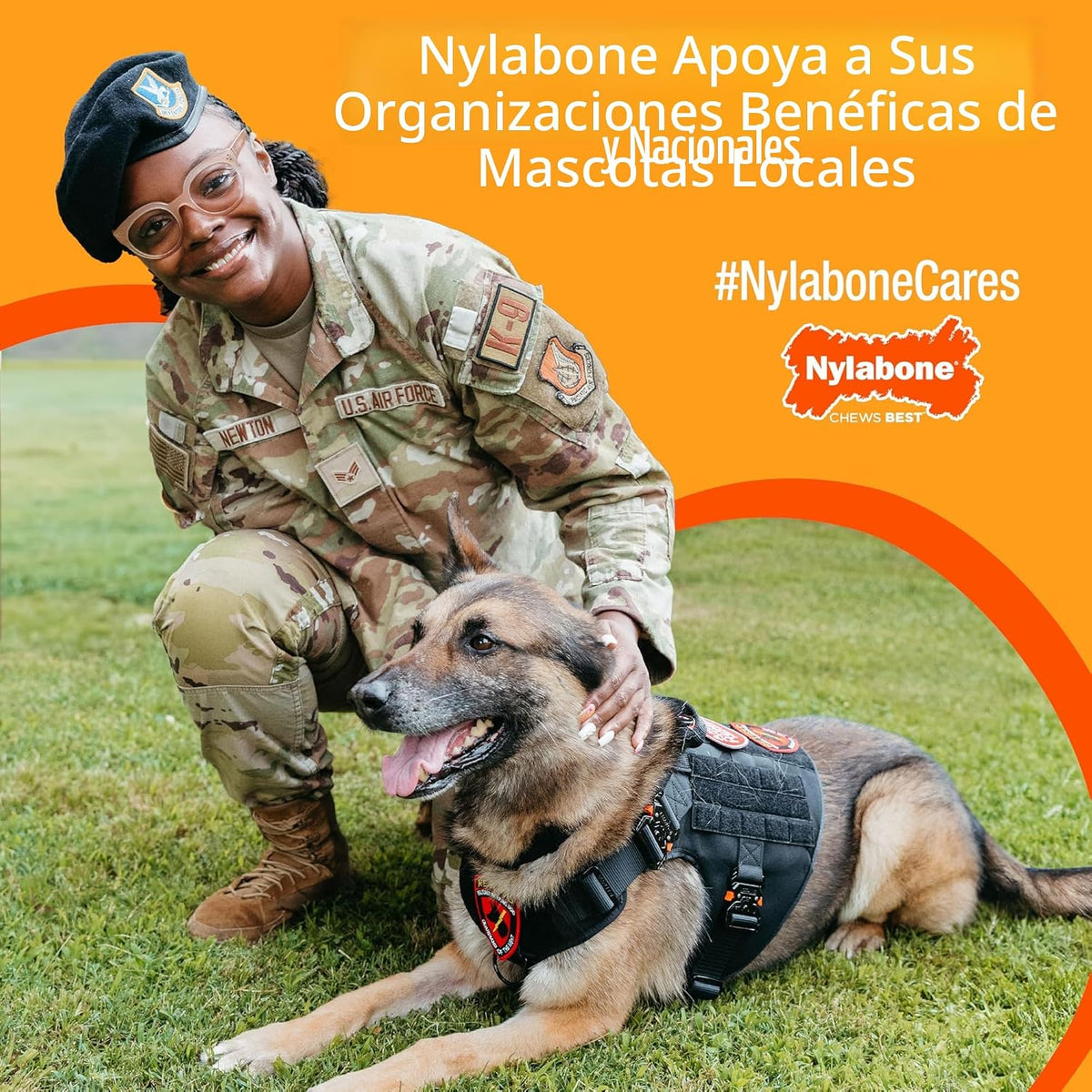 Nylabone Original Bone Power - Paquete de valor de juguetes mastica...