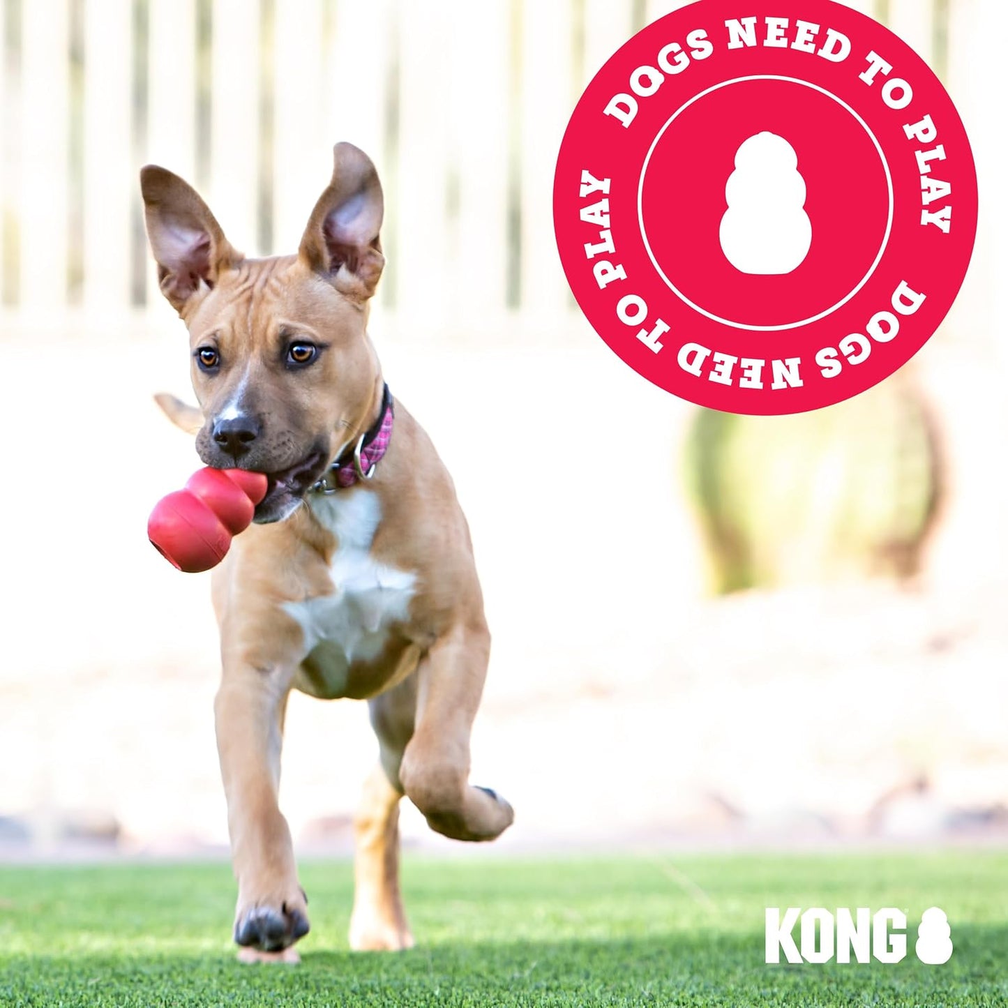 KONG Juguete Extremo para Perros - Juguete para Buscar y Masticar -...