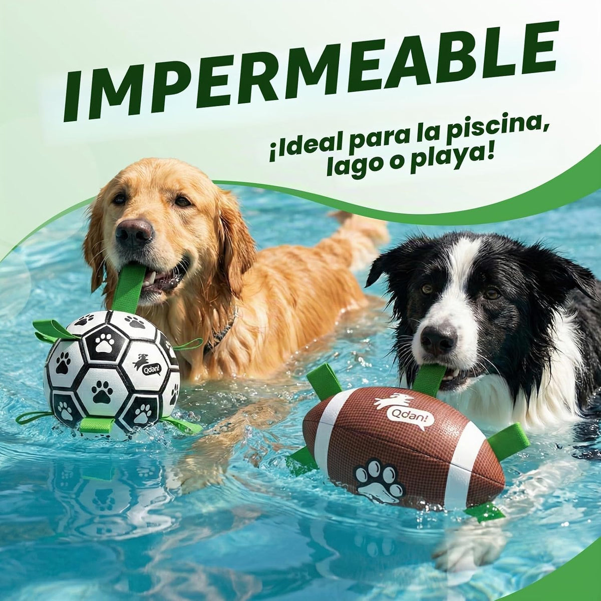 QDAN - Juego de 2 pelotas de fútbol para perros, juguete con correa...