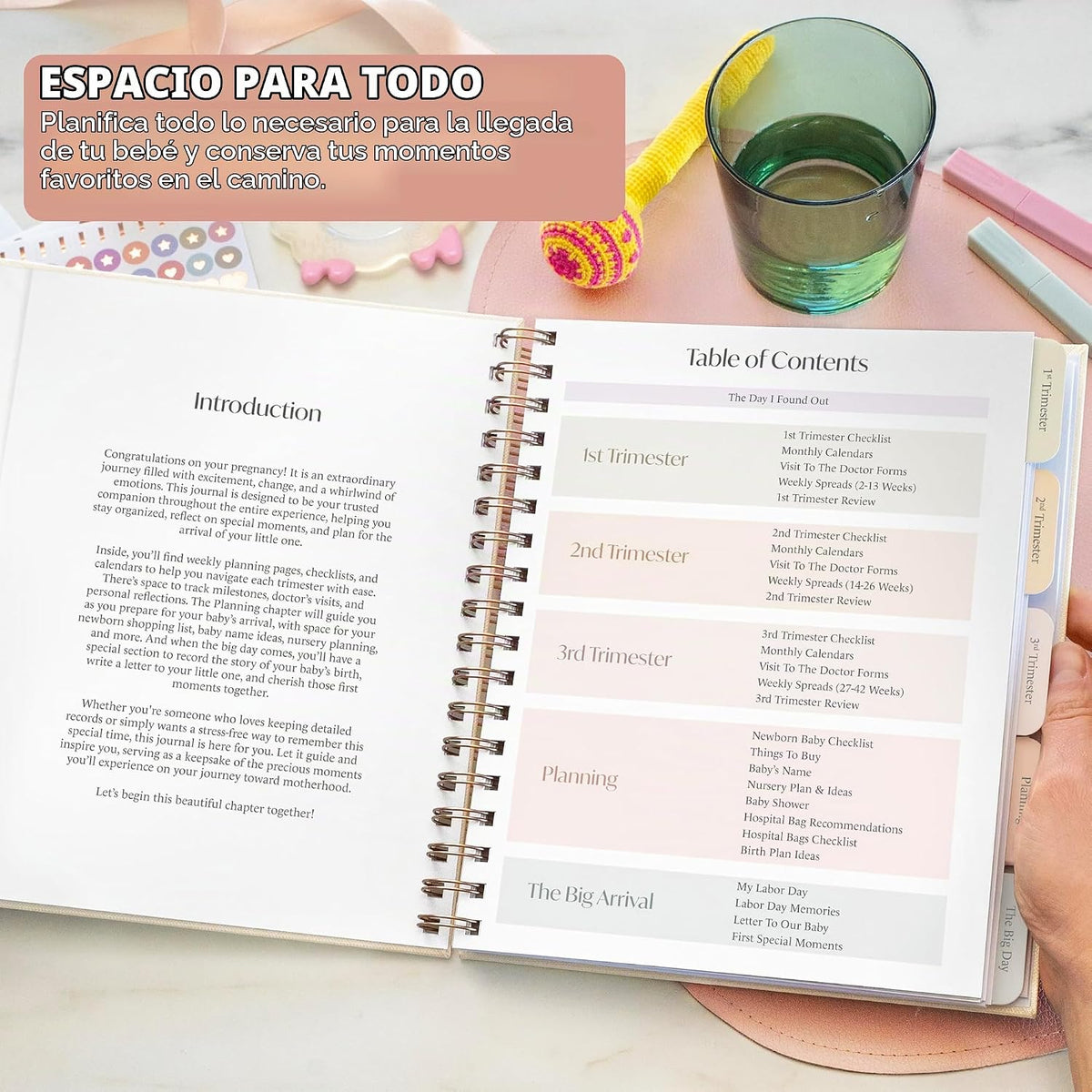 Skyline Diario Planificador de Embarazo \u2013 Libro de registro de...